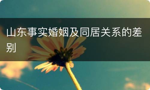 山东事实婚姻及同居关系的差别