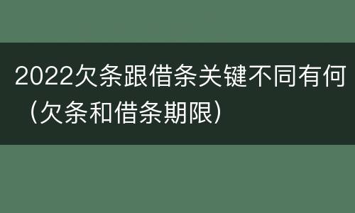2022欠条跟借条关键不同有何（欠条和借条期限）