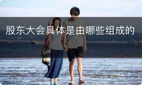 股东大会具体是由哪些组成的