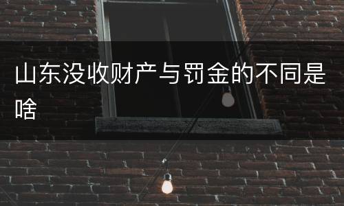 山东没收财产与罚金的不同是啥