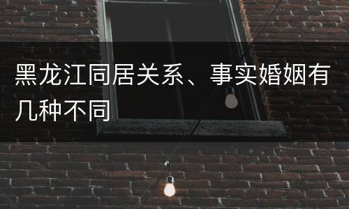 黑龙江同居关系、事实婚姻有几种不同