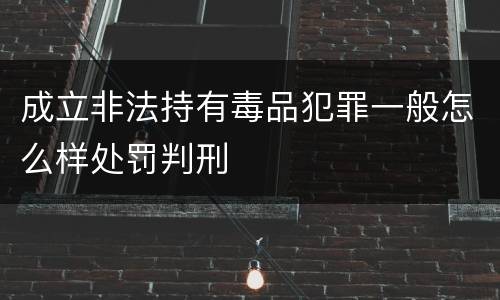 成立非法持有毒品犯罪一般怎么样处罚判刑