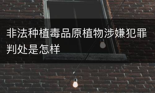 非法种植毒品原植物涉嫌犯罪判处是怎样