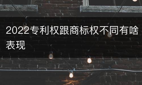2022专利权跟商标权不同有啥表现