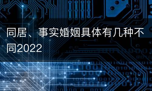 同居、事实婚姻具体有几种不同2022