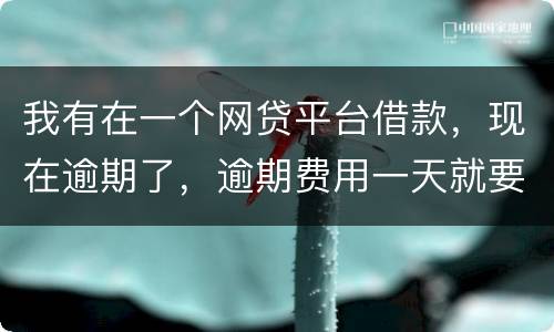 我有在一个网贷平台借款，现在逾期了，逾期费用一天就要高达140
