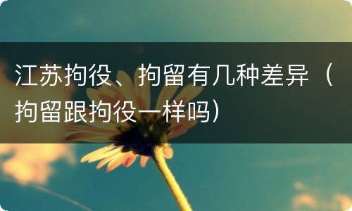 江苏拘役、拘留有几种差异（拘留跟拘役一样吗）