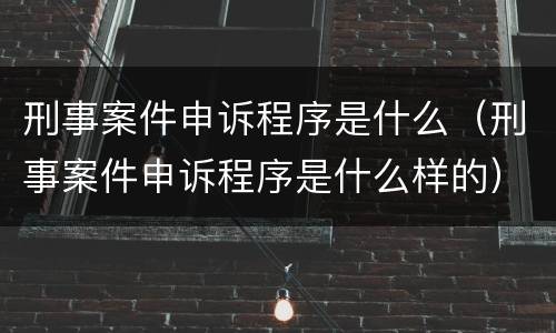 刑事案件申诉程序是什么（刑事案件申诉程序是什么样的）