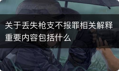 关于丢失枪支不报罪相关解释重要内容包括什么