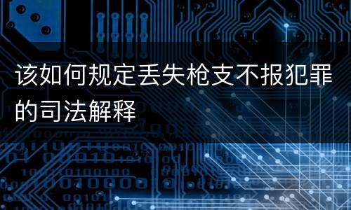 该如何规定丢失枪支不报犯罪的司法解释