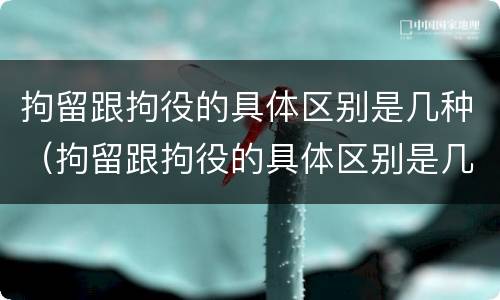 拘留跟拘役的具体区别是几种（拘留跟拘役的具体区别是几种形式）