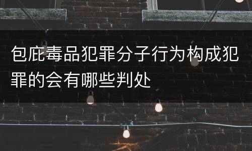 包庇毒品犯罪分子行为构成犯罪的会有哪些判处