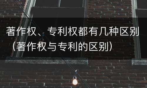 著作权、专利权都有几种区别（著作权与专利的区别）