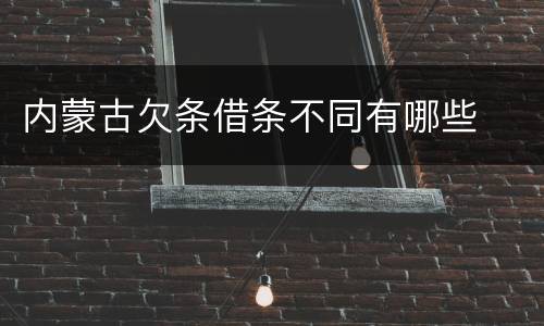 内蒙古欠条借条不同有哪些