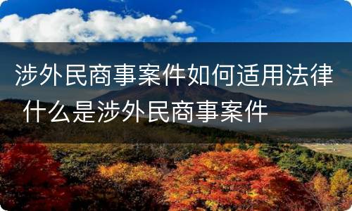 涉外民商事案件如何适用法律 什么是涉外民商事案件
