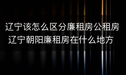 辽宁该怎么区分廉租房公租房 辽宁朝阳廉租房在什么地方