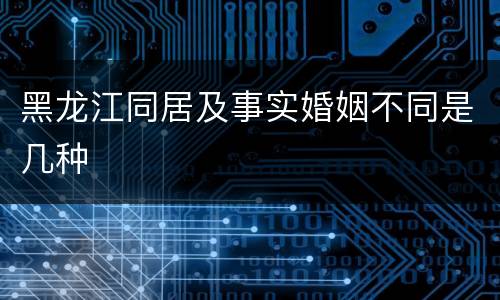 黑龙江同居及事实婚姻不同是几种