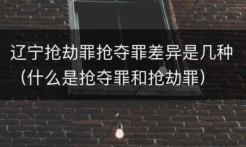 辽宁抢劫罪抢夺罪差异是几种（什么是抢夺罪和抢劫罪）