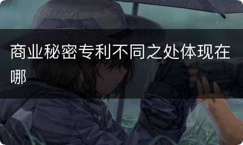 商业秘密专利不同之处体现在哪