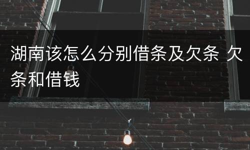 湖南该怎么分别借条及欠条 欠条和借钱
