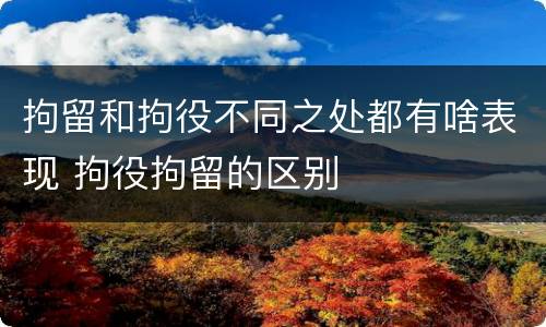 拘留和拘役不同之处都有啥表现 拘役拘留的区别