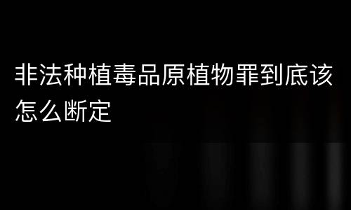 非法种植毒品原植物罪到底该怎么断定