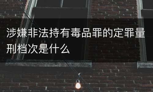 涉嫌非法持有毒品罪的定罪量刑档次是什么