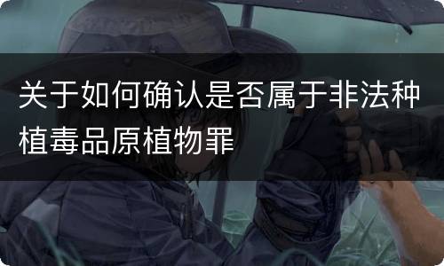 关于如何确认是否属于非法种植毒品原植物罪