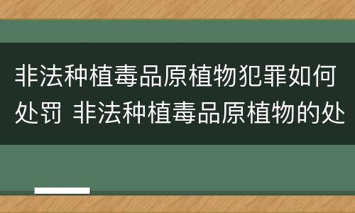非法种植毒品原植物犯罪如何处罚 非法种植毒品原植物的处罚