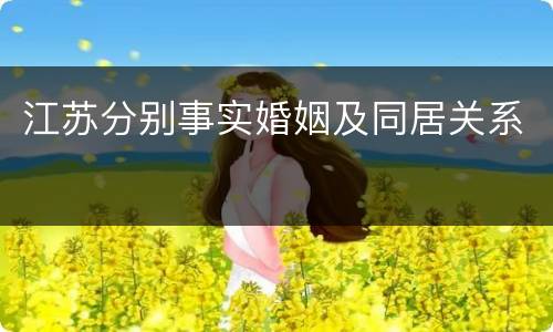 江苏分别事实婚姻及同居关系