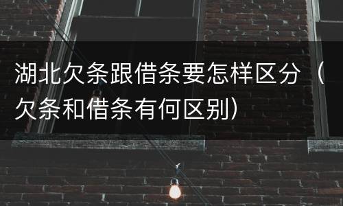 湖北欠条跟借条要怎样区分（欠条和借条有何区别）