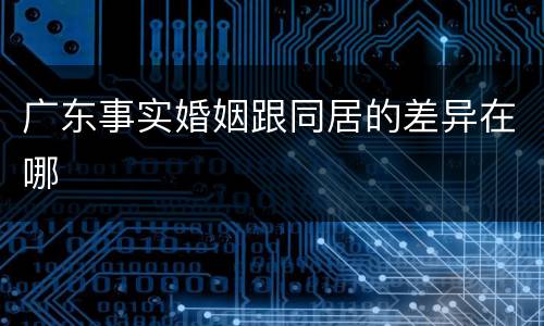 广东事实婚姻跟同居的差异在哪