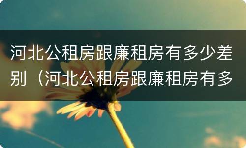 河北公租房跟廉租房有多少差别（河北公租房跟廉租房有多少差别呢）