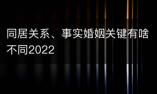 同居关系、事实婚姻关键有啥不同2022