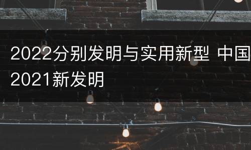 2022分别发明与实用新型 中国2021新发明