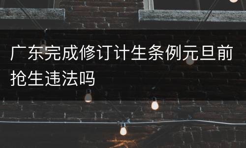 广东完成修订计生条例元旦前抢生违法吗