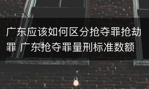 广东应该如何区分抢夺罪抢劫罪 广东抢夺罪量刑标准数额
