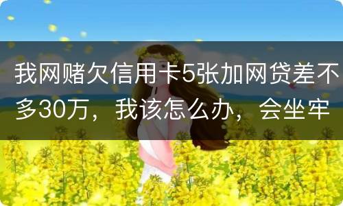 我网赌欠信用卡5张加网贷差不多30万，我该怎么办，会坐牢吗？没钱还，还不上了