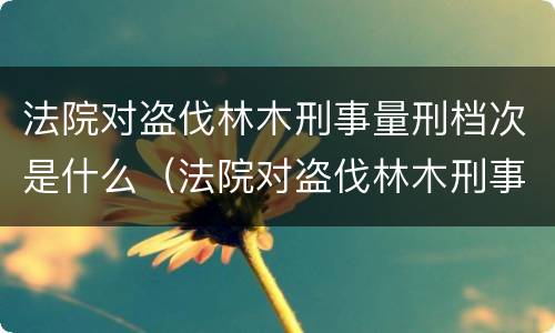 法院对盗伐林木刑事量刑档次是什么（法院对盗伐林木刑事量刑档次是什么规定）