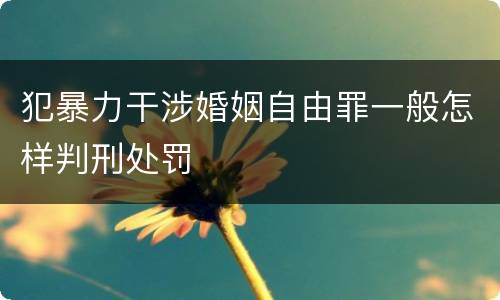 犯暴力干涉婚姻自由罪一般怎样判刑处罚