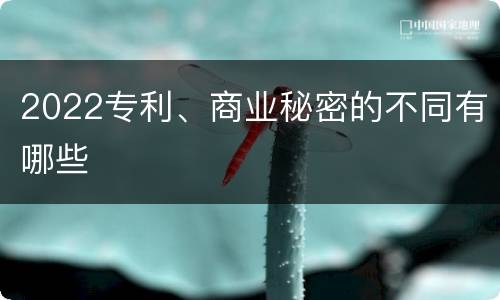 2022专利、商业秘密的不同有哪些