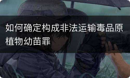 如何确定构成非法运输毒品原植物幼苗罪