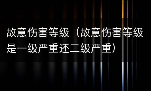 故意伤害等级（故意伤害等级是一级严重还二级严重）