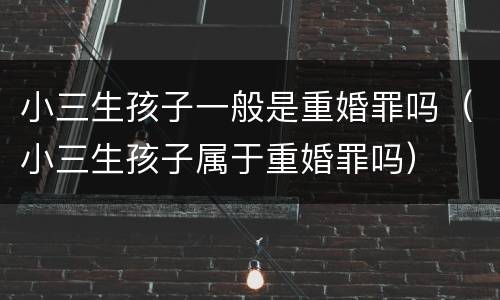 小三生孩子一般是重婚罪吗（小三生孩子属于重婚罪吗）
