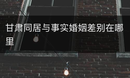 甘肃同居与事实婚姻差别在哪里