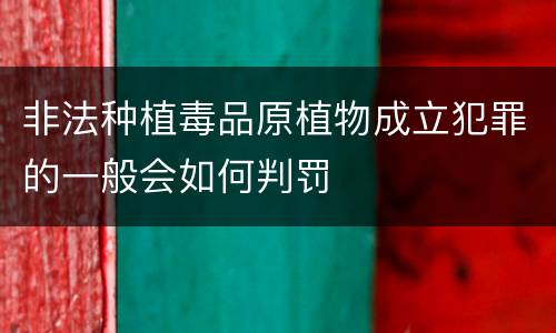 非法种植毒品原植物成立犯罪的一般会如何判罚