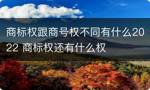 商标权跟商号权不同有什么2022 商标权还有什么权
