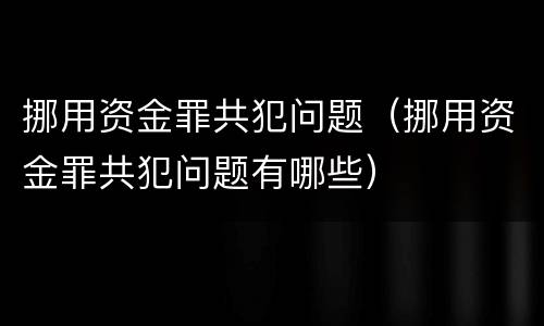 挪用资金罪共犯问题（挪用资金罪共犯问题有哪些）