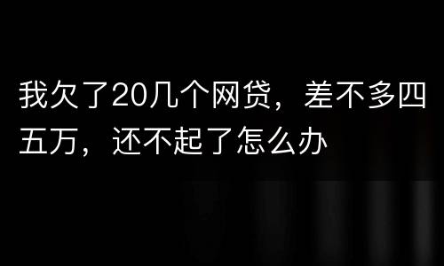 我欠了20几个网贷，差不多四五万，还不起了怎么办