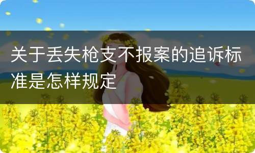 关于丢失枪支不报案的追诉标准是怎样规定